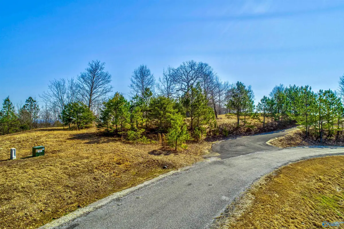 Lot 23 County Road 767, Cedar Bluff, AL 35959 - #1