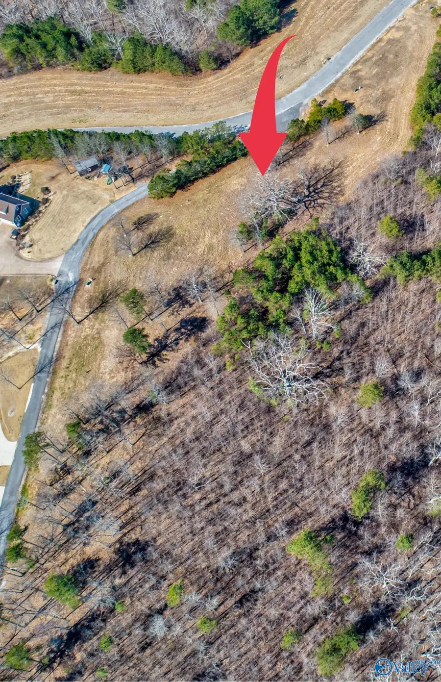 Lot 23 County Road 767, Cedar Bluff, AL 35959 - #2