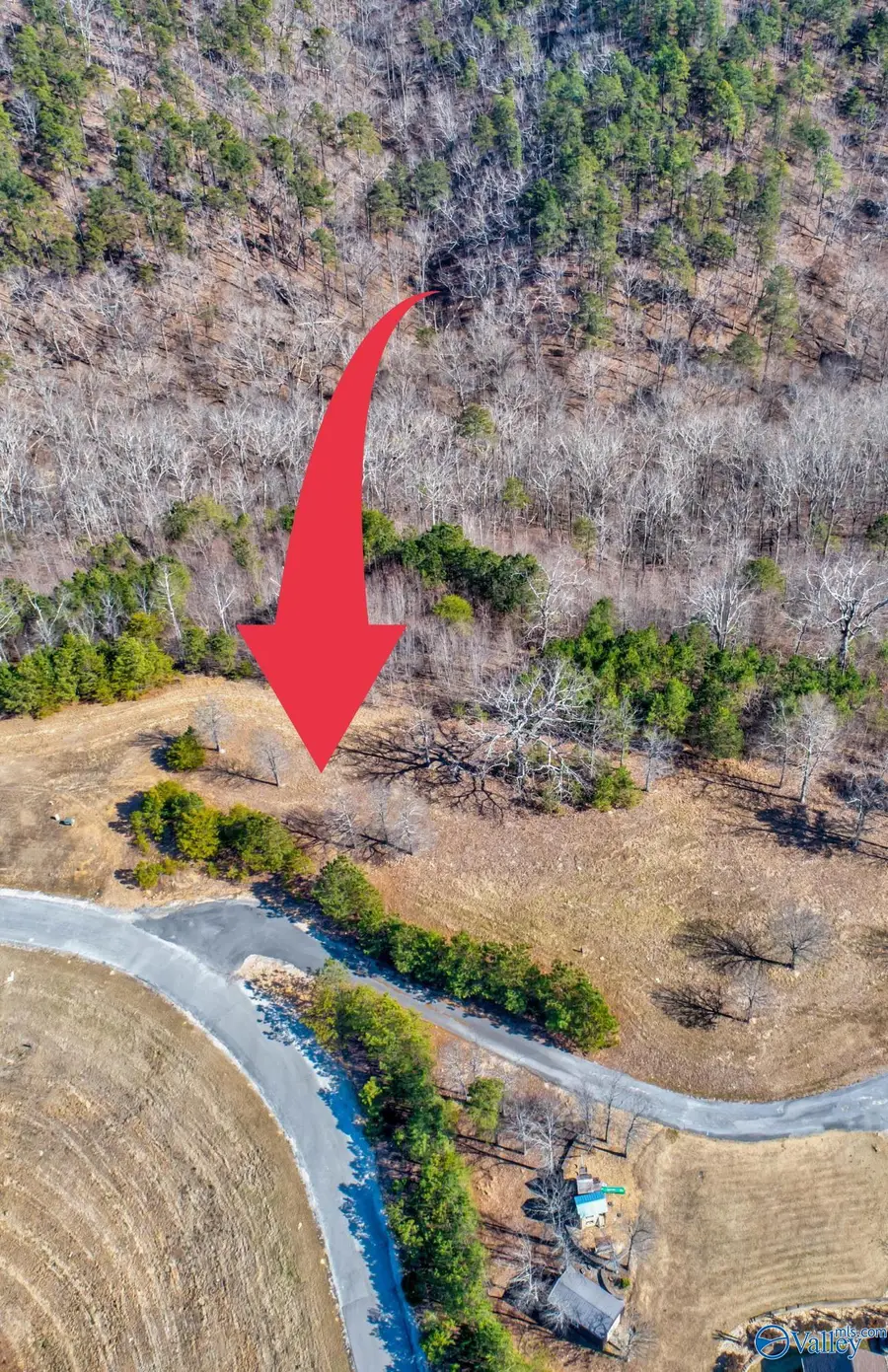 Lot 23 County Road 767, Cedar Bluff, AL 35959 - #3