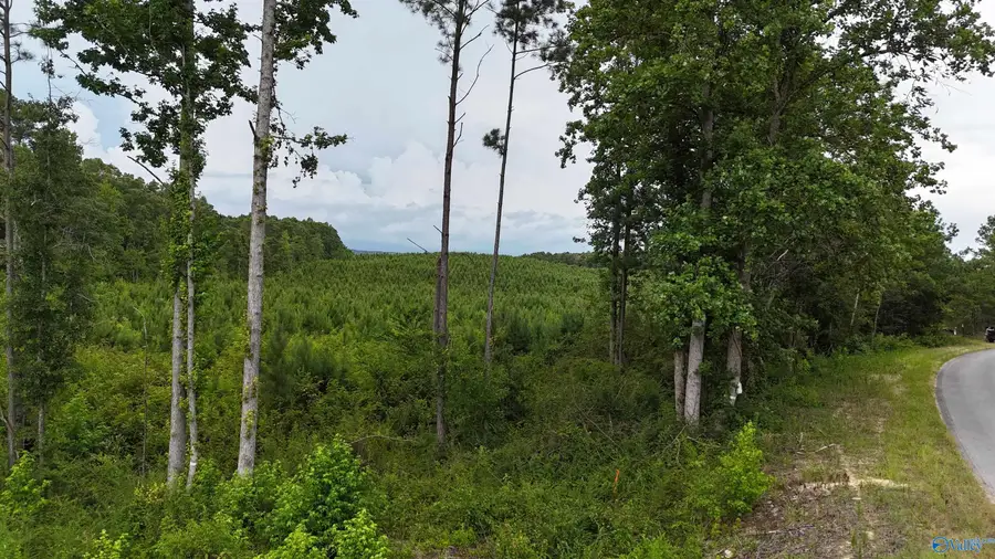 006 County Road 921, Gaylesville, AL 35973 - #2