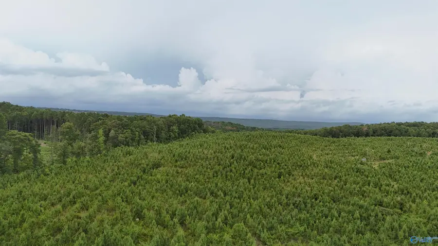 006 County Road 921, Gaylesville, AL 35973 - #3