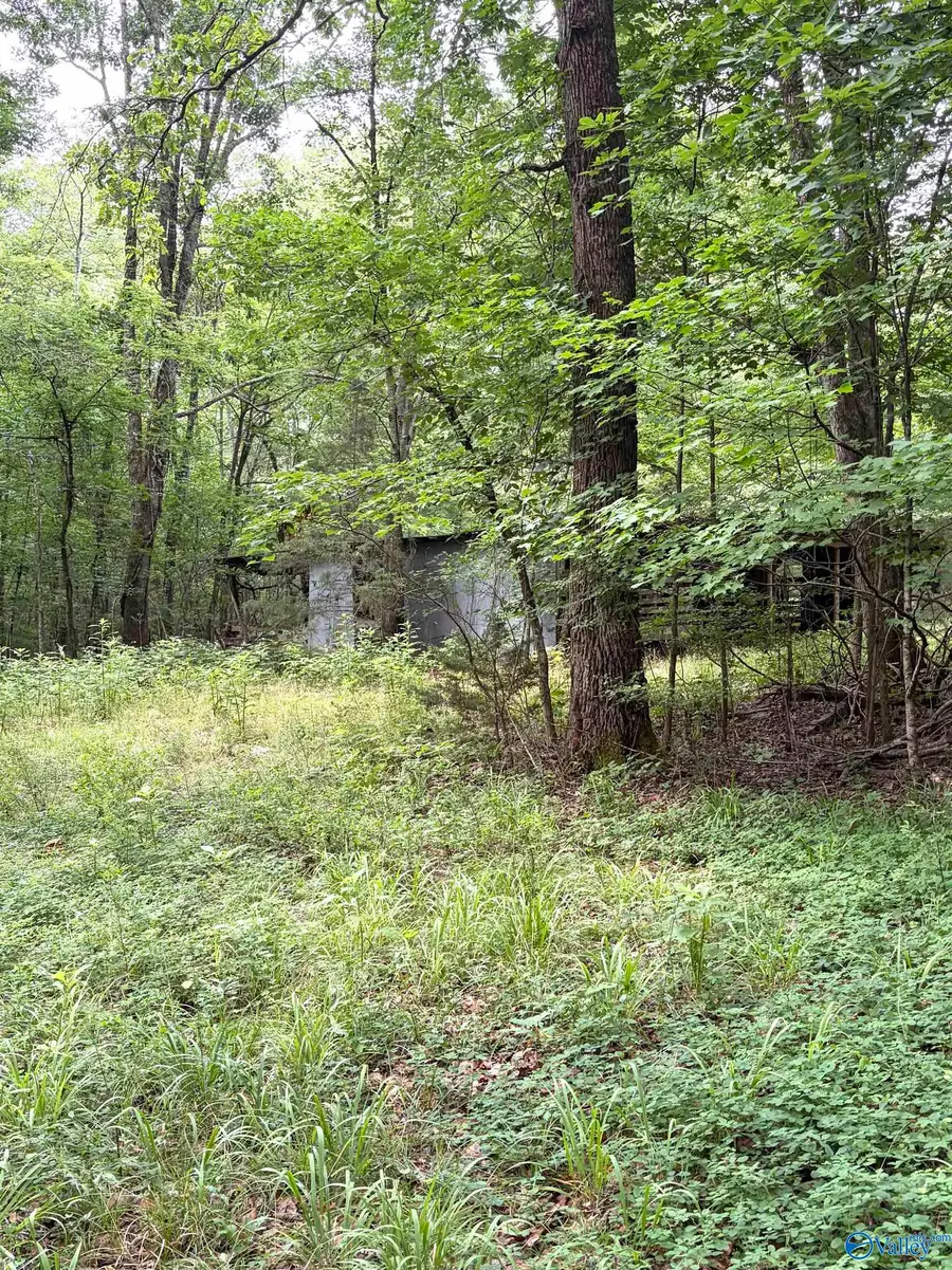 - Walter Hill Road, New Hope, AL 35760 - #2