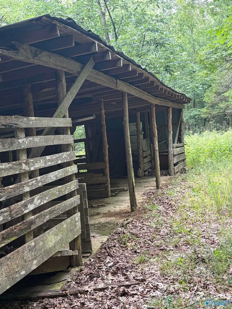 - Walter Hill Road, New Hope, AL 35760 - #3
