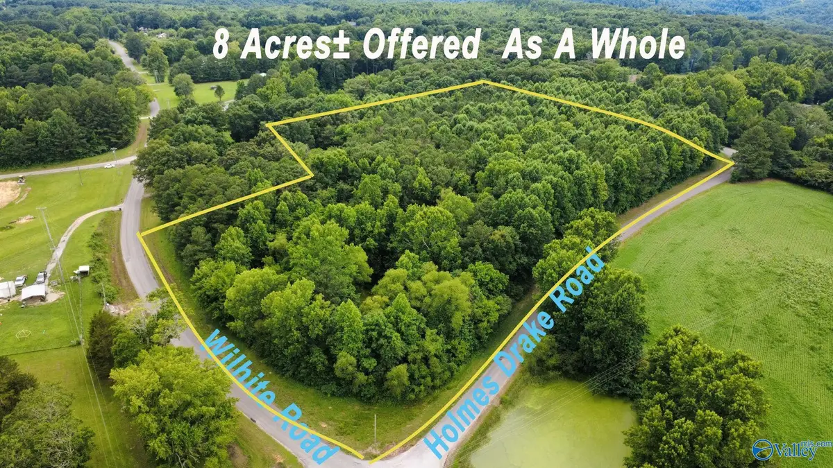 8 +/- Acres Holmes Drake Road, Falkville, AL 35622 - #1