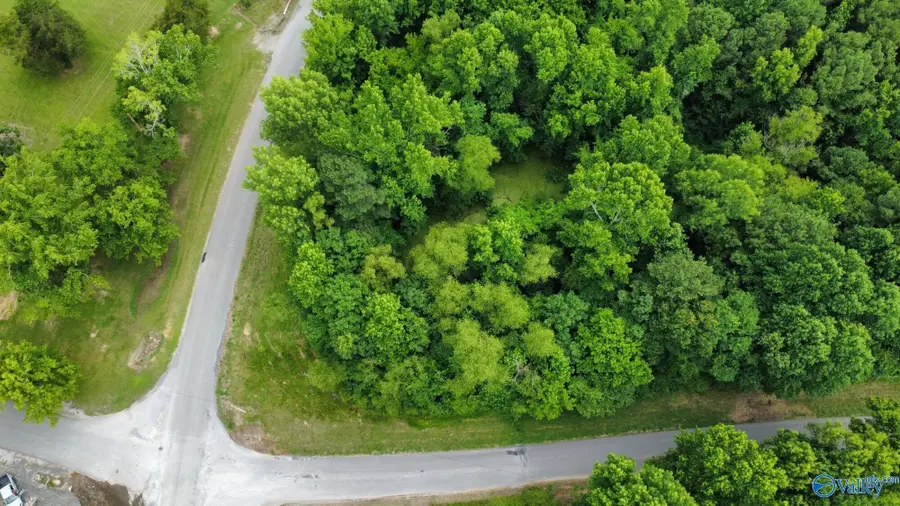 8 +/- Acres Holmes Drake Road, Falkville, AL 35622 - #2