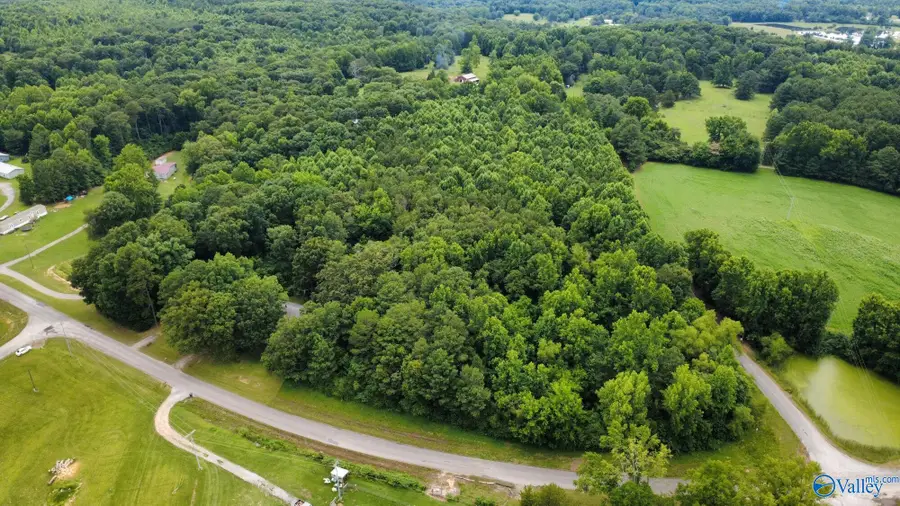 8 +/- Acres Holmes Drake Road, Falkville, AL 35622 - #3