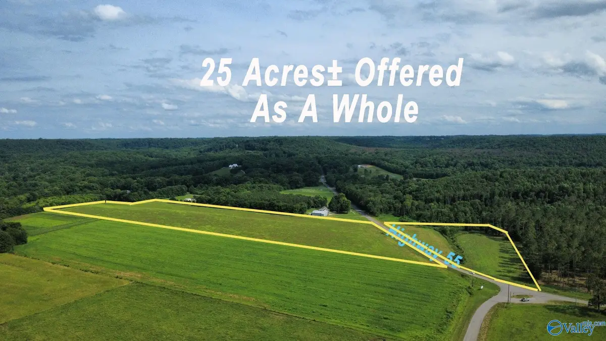 25 +/- Acres Highway 55 E, Falkville, AL 35622 - #1