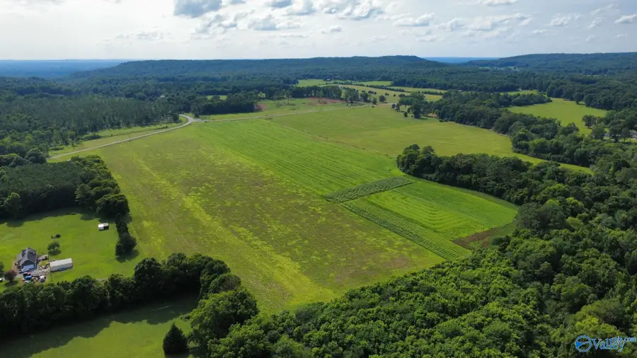 25 +/- Acres Highway 55 E, Falkville, AL 35622 - #2