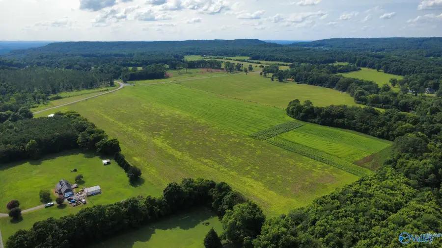 25 +/- Acres Highway 55 E, Falkville, AL 35622 - #3