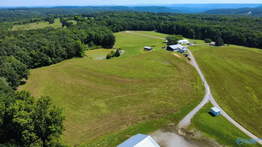195 Taylor Nelson Road, Falkville, AL 35622 - #2