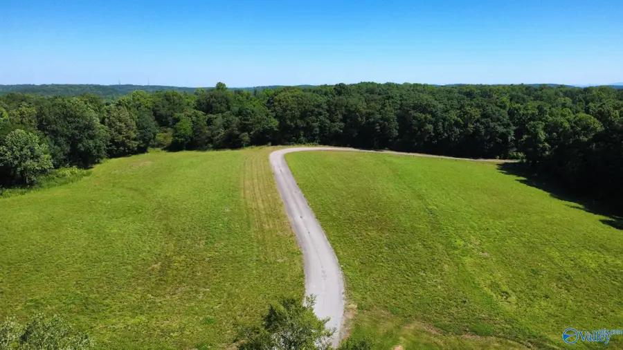 195 Taylor Nelson Road, Falkville, AL 35622 - #3