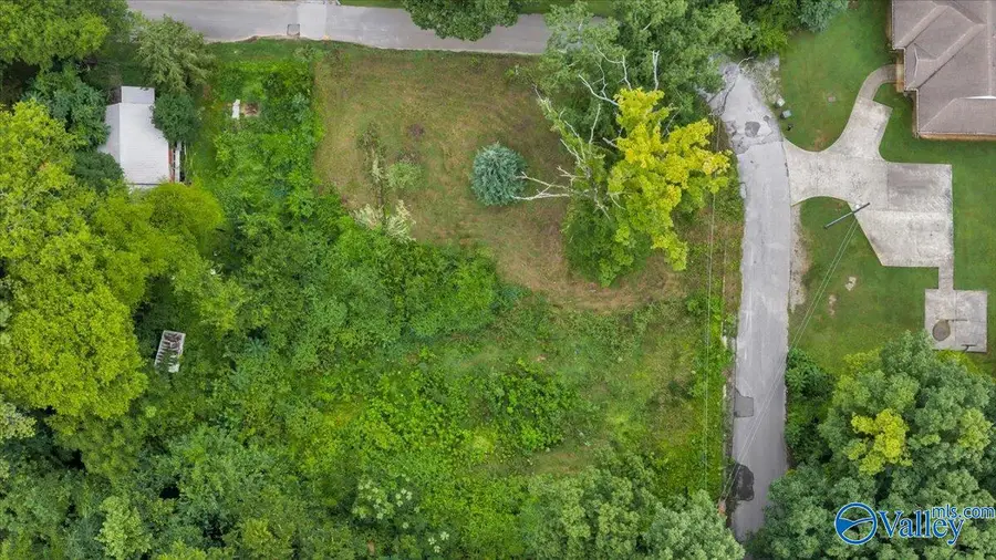 2503 Link Avenue, Huntsville, AL 35810 - #2