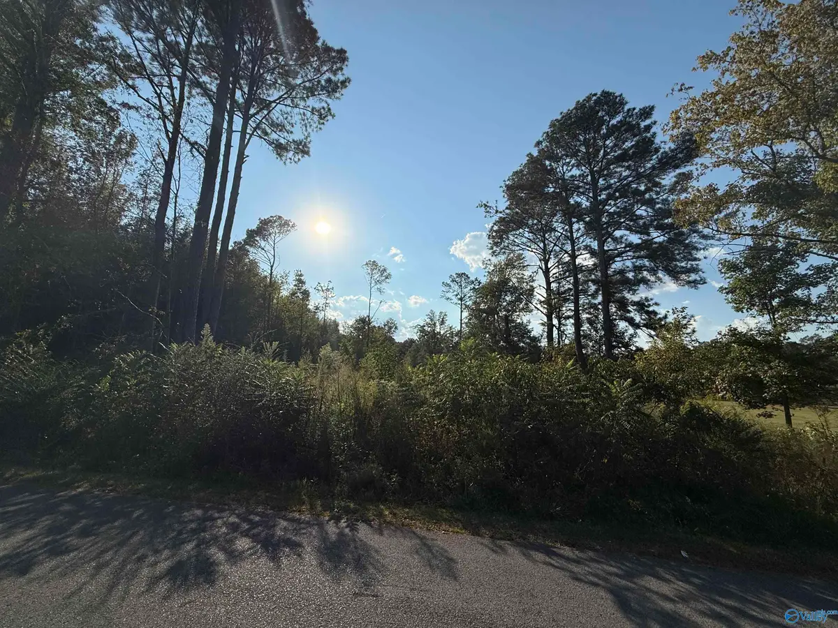1.46 Acres 2nd Avenue, Altoona, AL 35952 - #1
