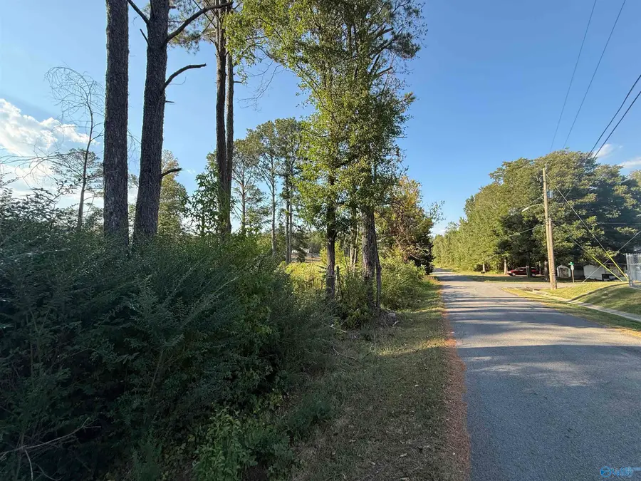 1.46 Acres 2nd Avenue, Altoona, AL 35952 - #2