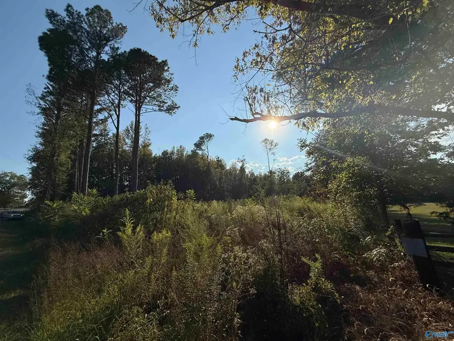 1.46 Acres 2nd Avenue, Altoona, AL 35952 - #3