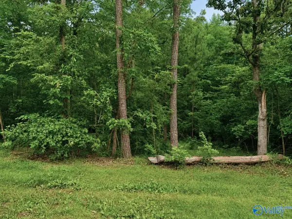 Lot 34 County Road 608, Cedar Bluff, AL 35959