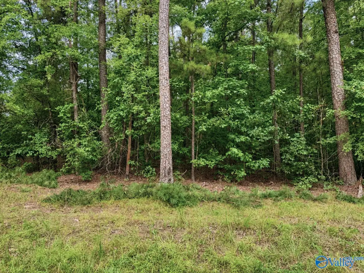Lot 80 County Road 608, Cedar Bluff, AL 35959 - #1