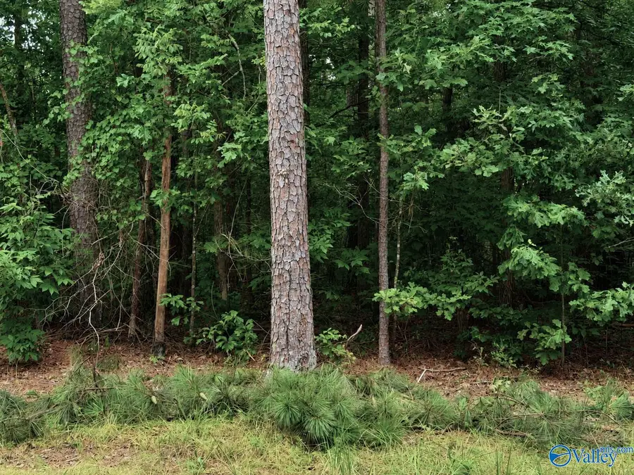 Lot 80 County Road 608, Cedar Bluff, AL 35959 - #2