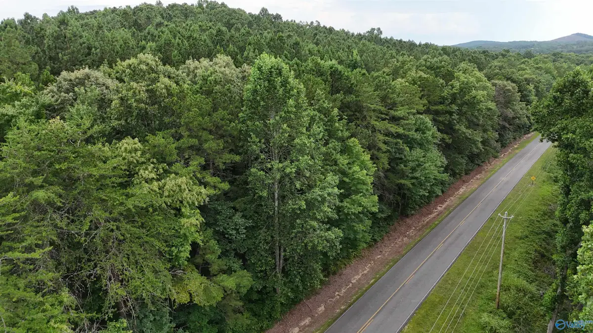 003 County Road 41, Gaylesville, AL 35973 - #1