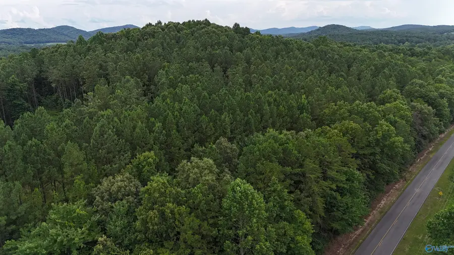 003 County Road 41, Gaylesville, AL 35973 - #2
