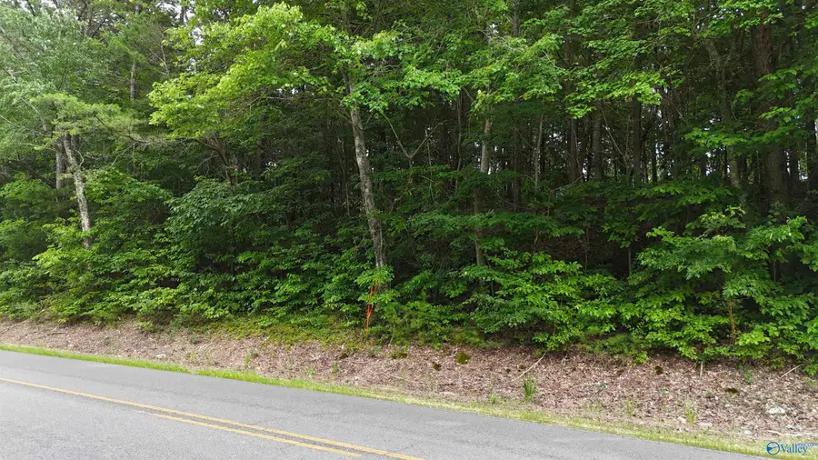 003 County Road 41, Gaylesville, AL 35973 - #3