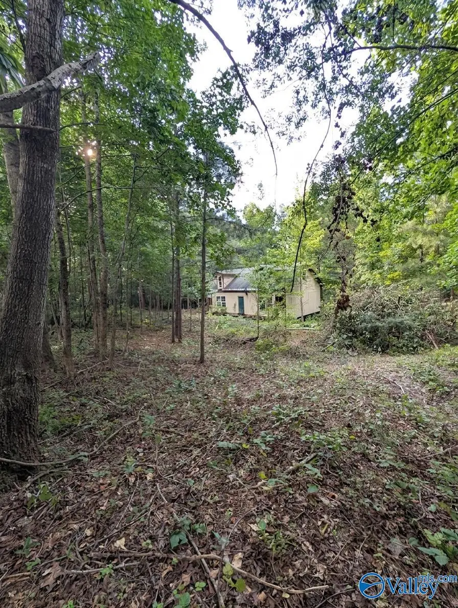 222 Mountain View Drive, Attalla, AL 35954 - #2