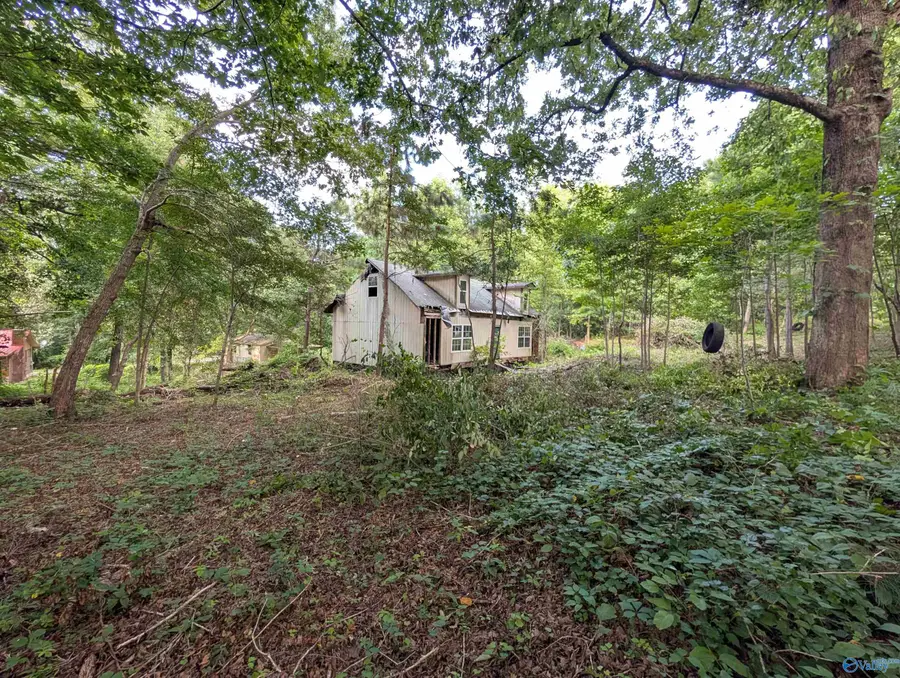 222 Mountain View Drive, Attalla, AL 35954 - #3