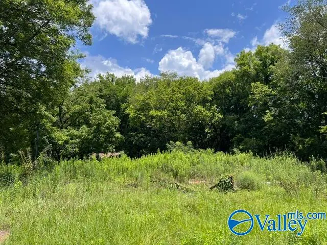 1310 SW 21st Avenue, Decatur, AL 35601 - #3