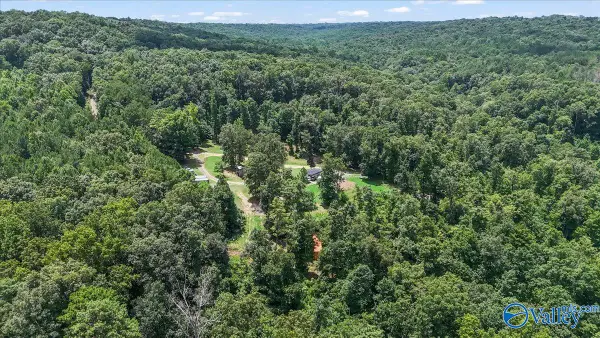 456 Keller Hollow Road, Eva, AL 35621