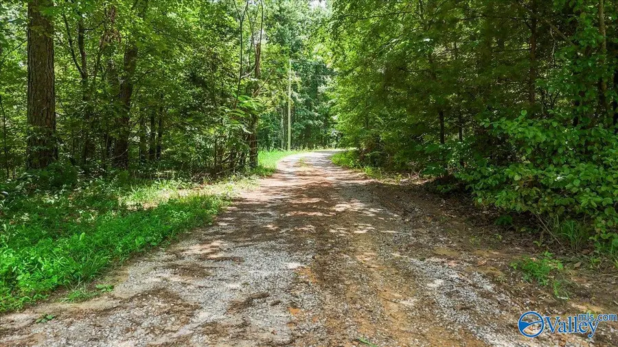 456 Keller Hollow Road, Eva, AL 35621 - #2