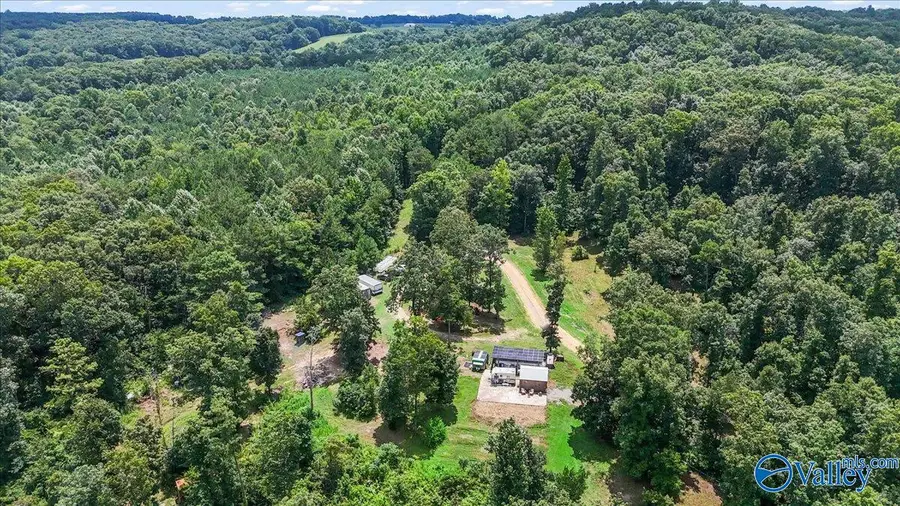 456 Keller Hollow Road, Eva, AL 35621 - #3