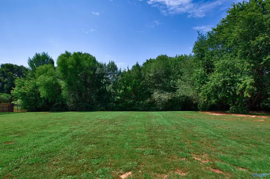 1 Yancy Lamb Drive, New Market, AL 35761 - #2