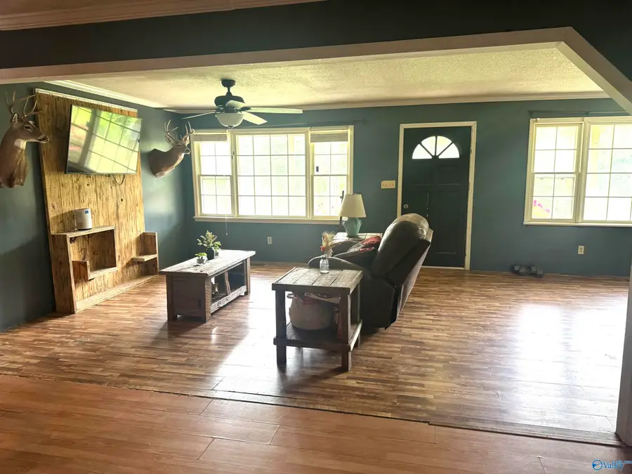 29738 Easter Ferry Road, Lester, AL 35647 - #2