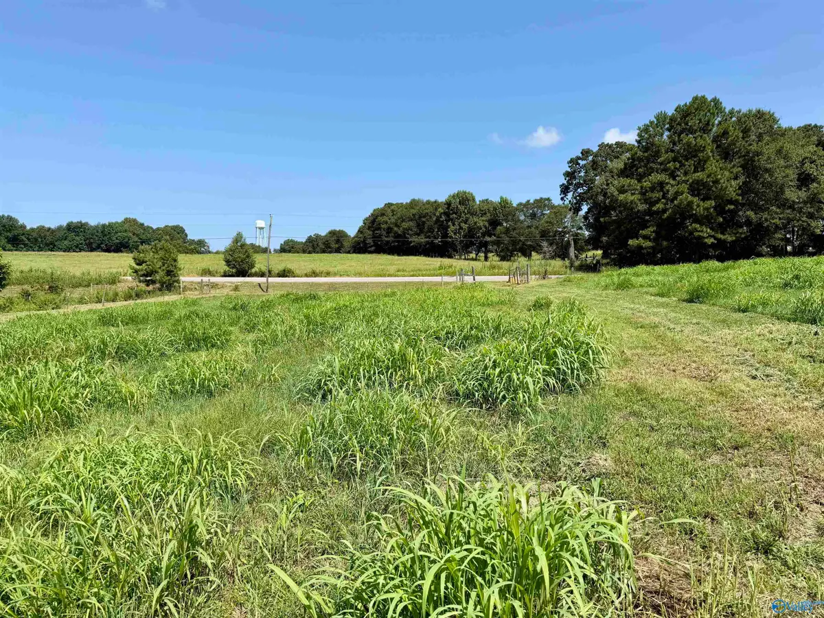 22 +/- ac Summerville Road, Boaz, AL 35957 - #1