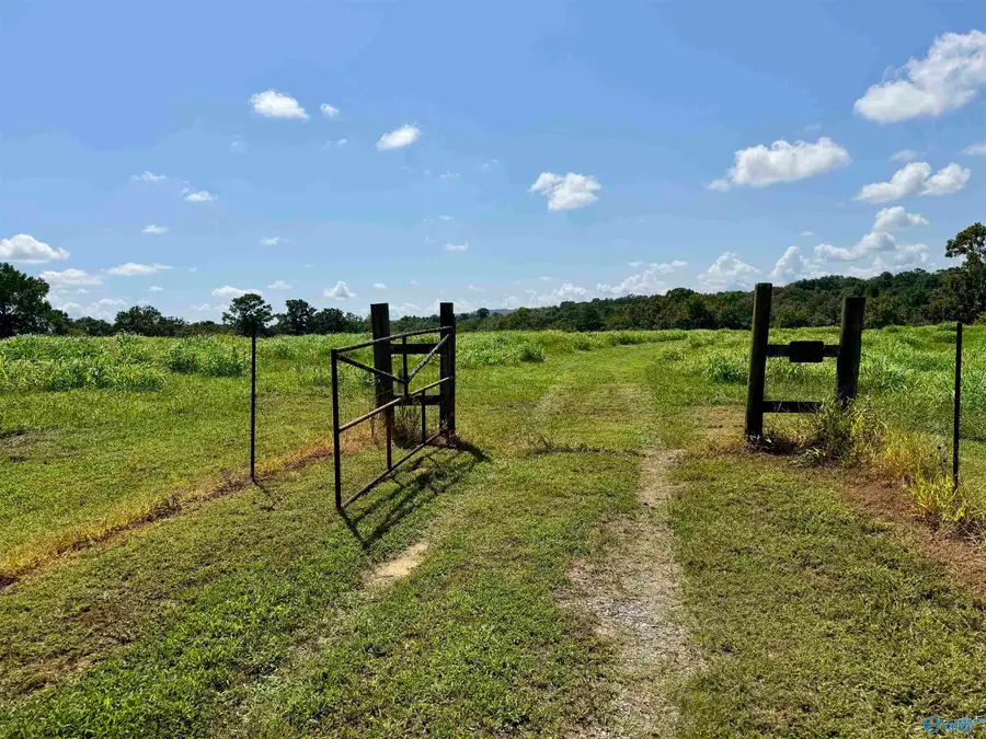 22 +/- ac Summerville Road, Boaz, AL 35957 - #2