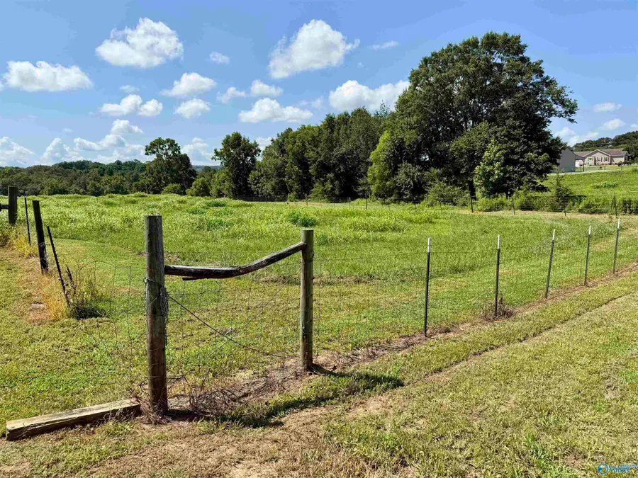22 +/- ac Summerville Road, Boaz, AL 35957 - #3
