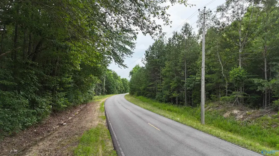 05 County Road 41, Gaylesville, AL 35973 - #2