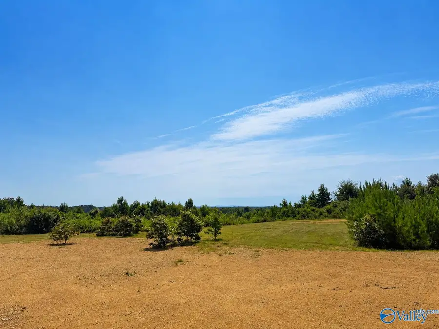 1755 County Road 155, Centre, AL 35960 - #3