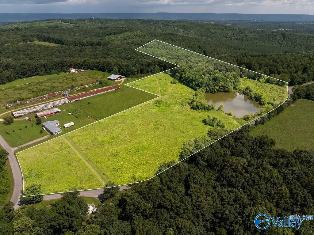 15.5 ACRES County Road 671, Henagar, AL 35978 - #1