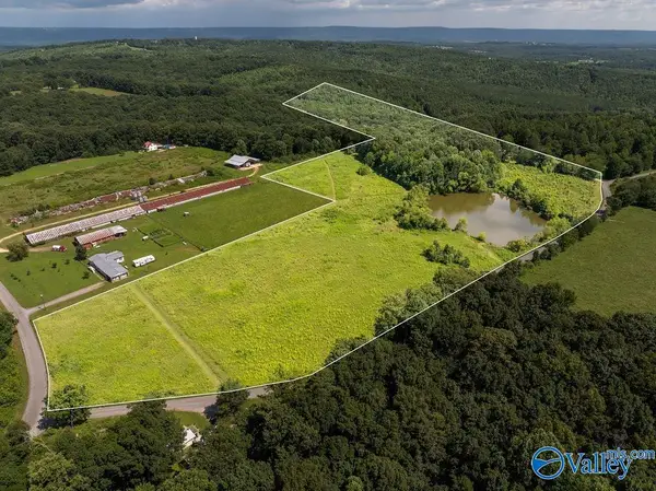 15.5 ACRES County Road 671, Henagar, AL 35978