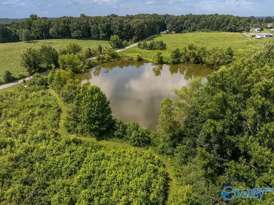 15.5 ACRES County Road 671, Henagar, AL 35978 - #2