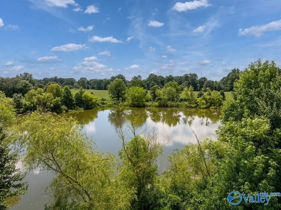 15.5 ACRES County Road 671, Henagar, AL 35978 - #3