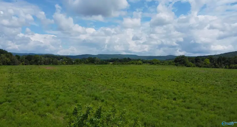 32 Acres Cathedral Caverns Highway, Woodville, AL 35776 - #2
