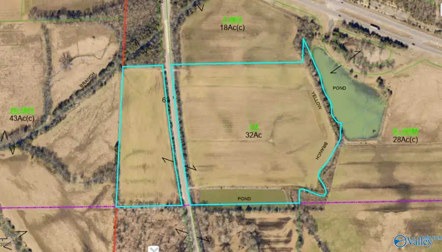 32 Acres Cathedral Caverns Highway, Woodville, AL 35776 - #3