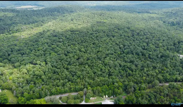 15 Acres Mill Road, Woodville, AL 35776