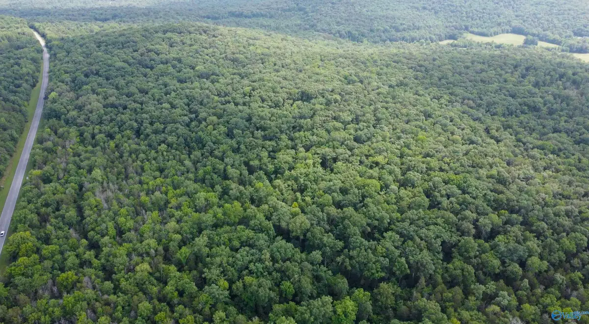 11 Acres Cathedral Caverns Highway, Woodville, AL 35776 - #1