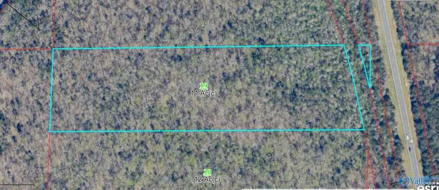 11 Acres Cathedral Caverns Highway, Woodville, AL 35776 - #3