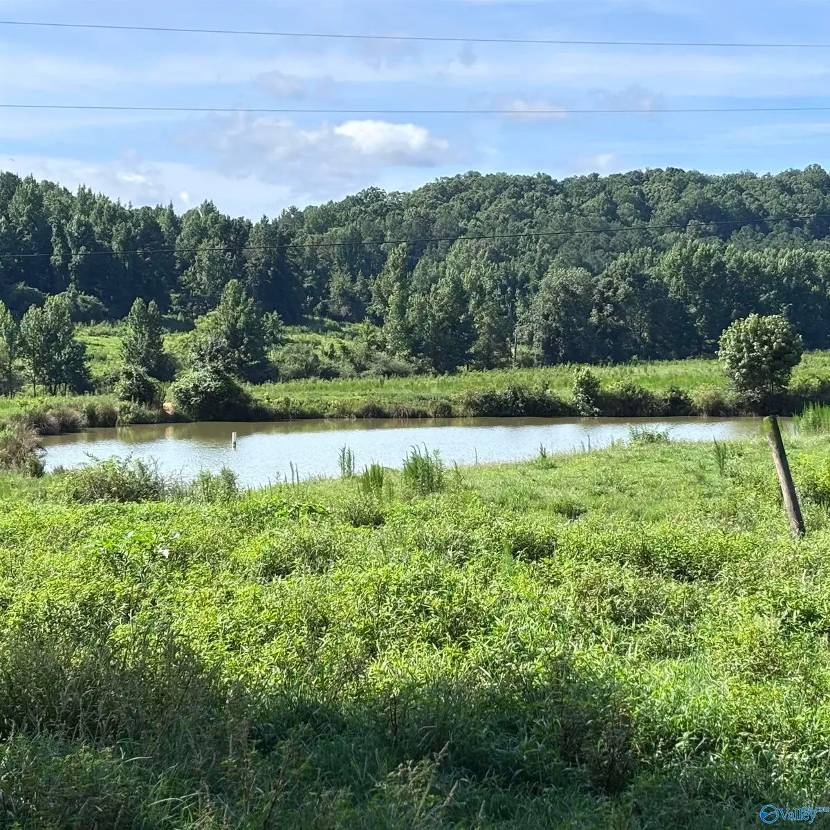97 acres County Road 611, Valley Head, AL 35989 - #1