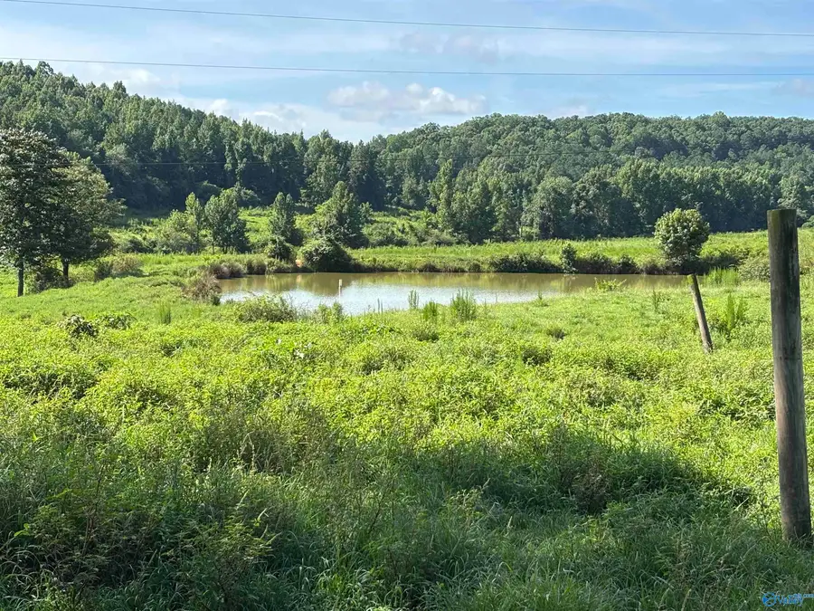 97 acres County Road 611, Valley Head, AL 35989 - #2
