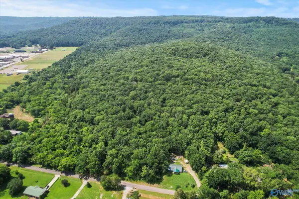 92 Acres All Jersey Road, Somerville, AL 35670